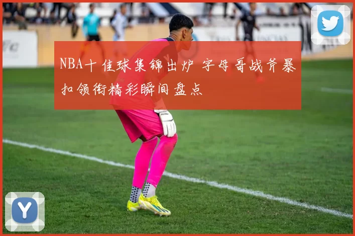 NBA十佳球集锦出炉 字母哥战斧暴扣领衔精彩瞬间盘点