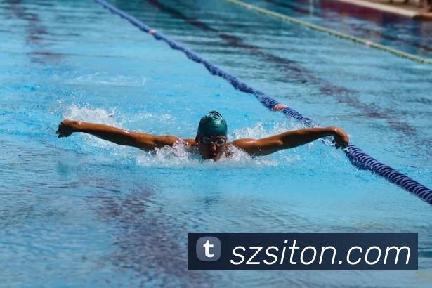 多媒体互动体验